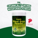 Wheat Grass Powder - 100g